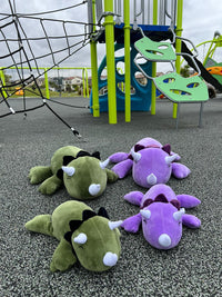 Dinosaur Weighted Stuffed Animals
