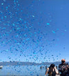 Gender reveal confetti cannon celebration on the lake