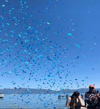 Color verification window on gender reveal confetti cannon