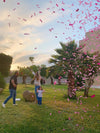 Gender reveal confetti cannon celebration at the park