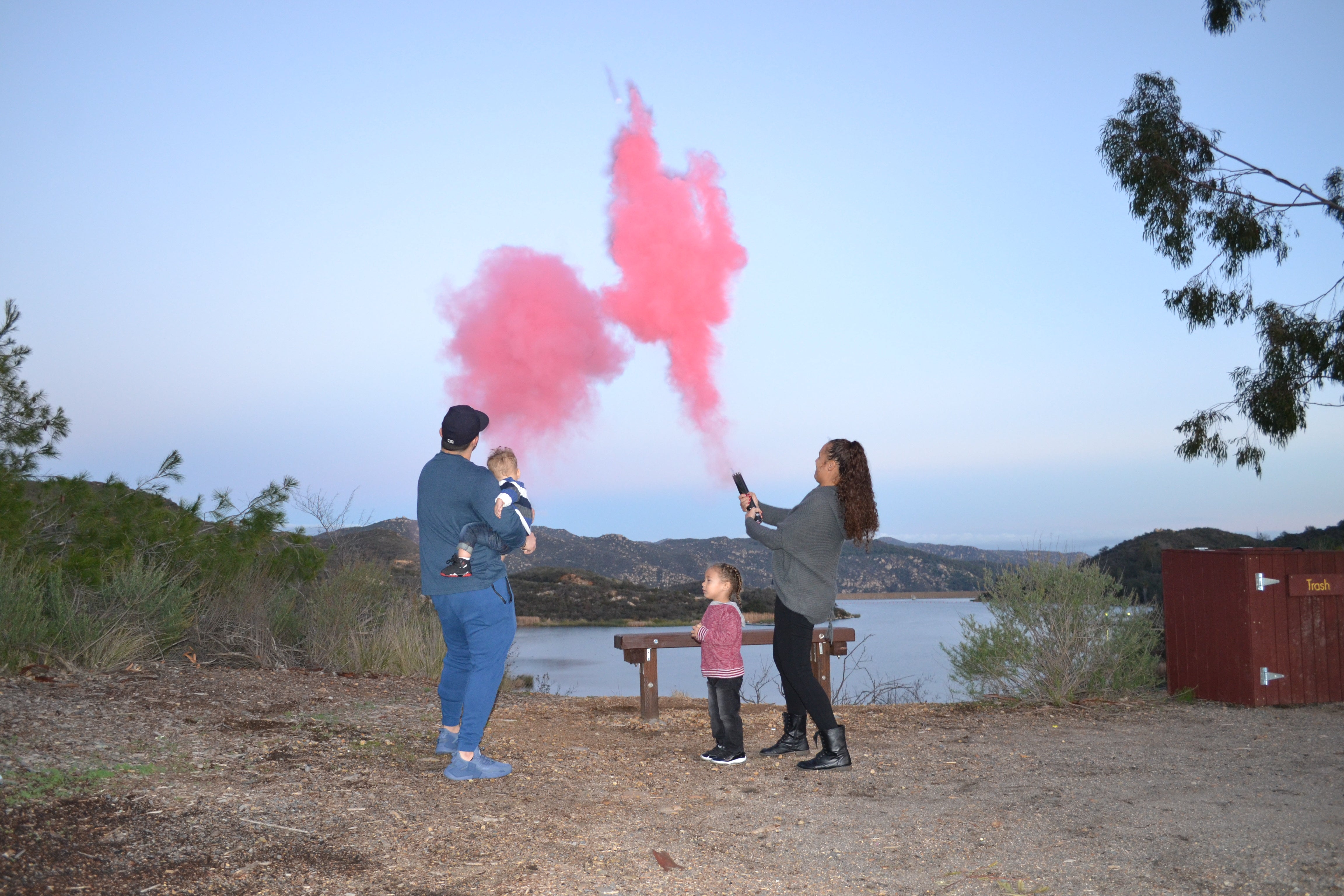Legend & Co, Baby Gender Reveal Powder Cannons | Air Powered | Included  Feature: Small Color Check Window to View Contents (2 Pink & 2 Blue Powder)